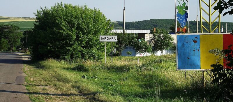 Camere web online Iargara